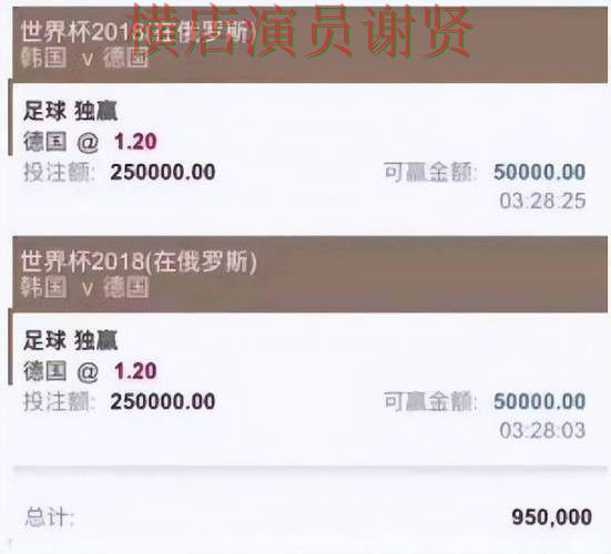 世界杯投注平台平台对比评测与选择建议